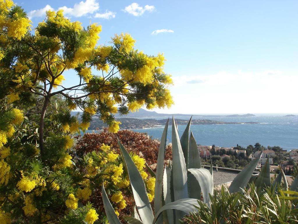 T2 Bandol Ideal Vacances 2 Etoiles Εξωτερικό φωτογραφία
